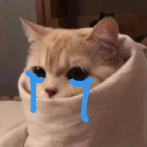 Crying cat emoji